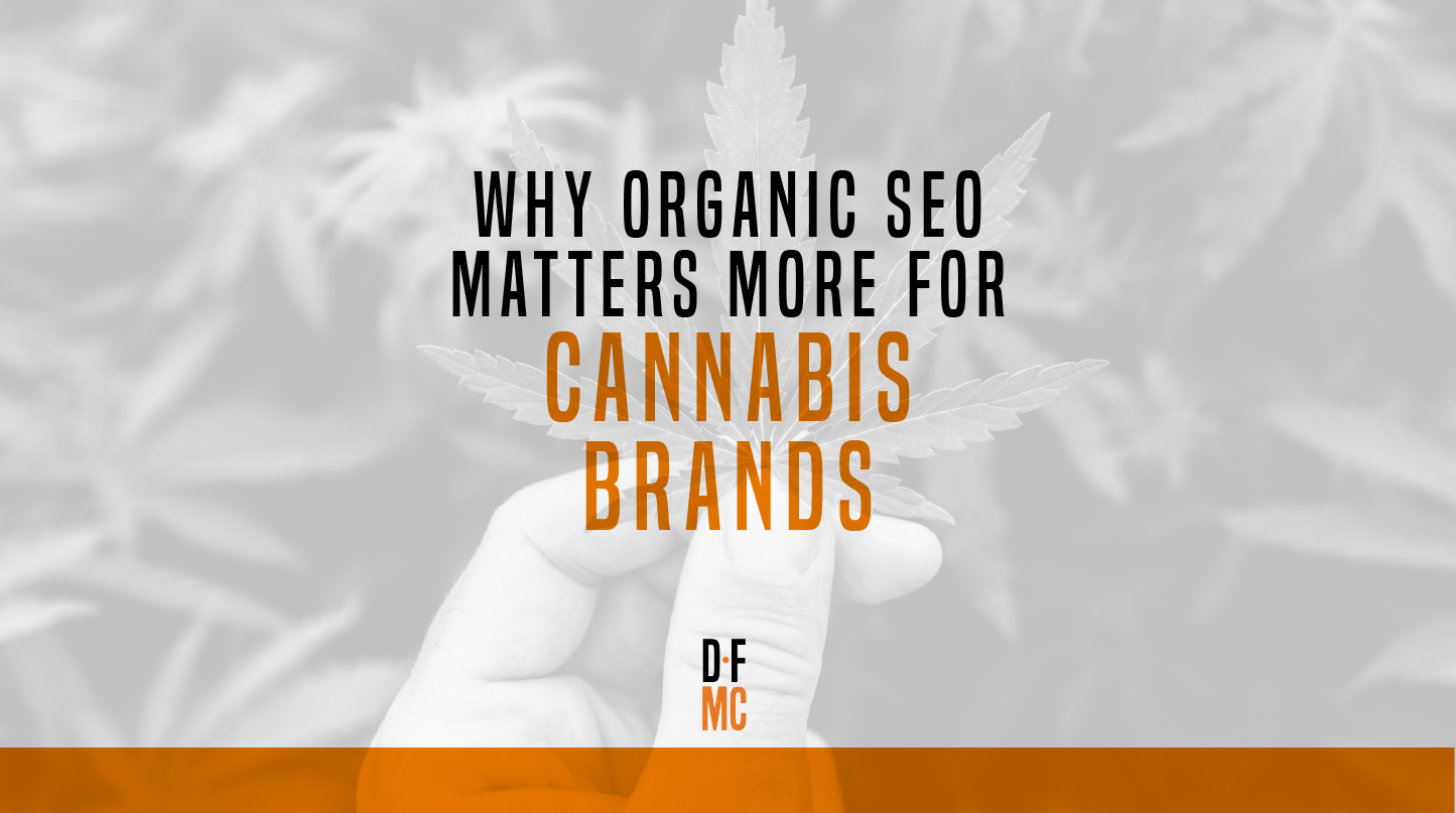 Blog post title with image of person holding cannabis leaf
